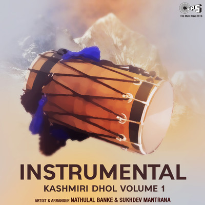 Instrumental Kashmiri Dhol, Vol. 1/Nathulal Banke and Sukhdev Mantrana