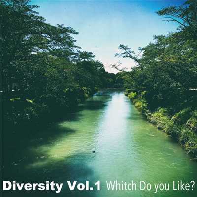 Diversity Vol.1 Whitch Do You Like？/Various Artists