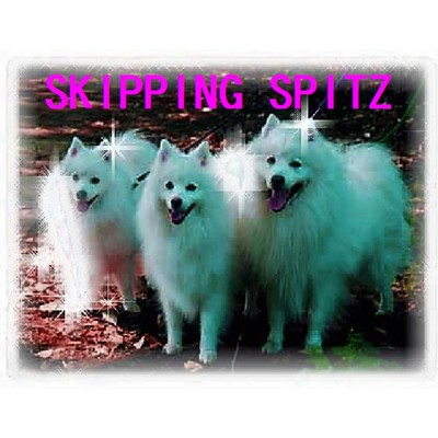 アルバム/SKIPPING SPITZ/ChampのKeyb