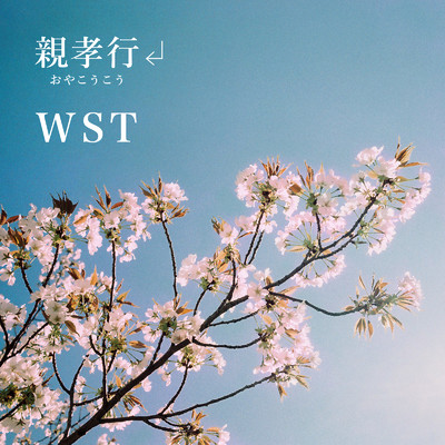 親孝行/WST