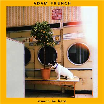 Wanna Be Here (Explicit)/Adam French
