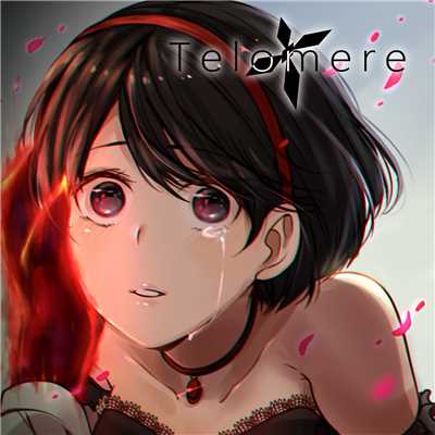 アルバム/Telomere/regulus