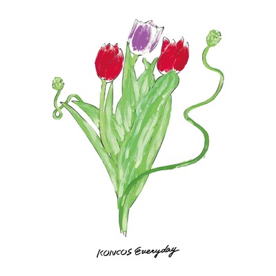 シングル/Everyday/KONCOS