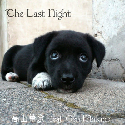 The Last Night/高山華奈 feat. Gen Makino