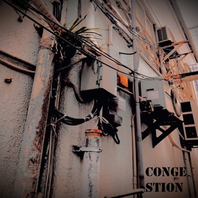 Congestion/Kaseki Hunter
