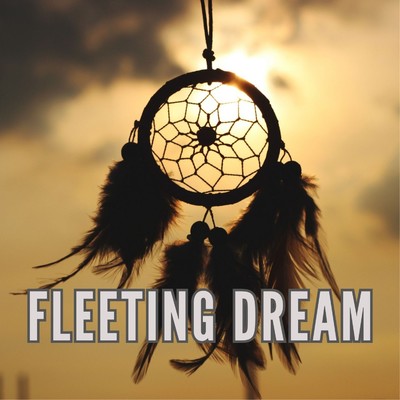 Fleeting dream/2strings