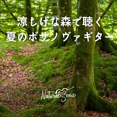 涼しげな森で聴く夏のボサノヴァギター/Natural Sonic
