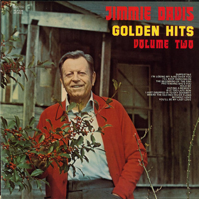 アルバム/Golden Hits Vol. 2 (Vol. 2)/ジミー・デイヴィス