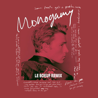 Monogamy (Le Boeuf Remix)/Christopher