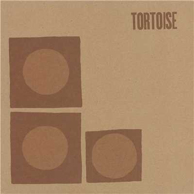 His Second Story Island/Tortoise