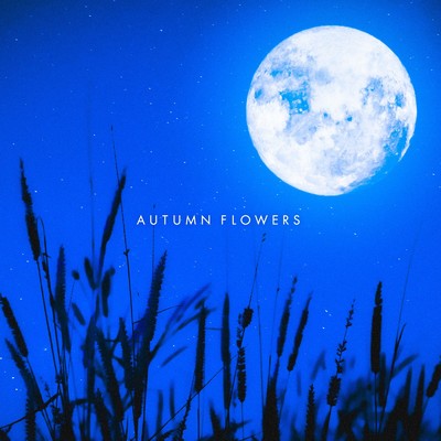 シングル/AUTUMN FLOWERS/Super Natural & Keigo Tanaka