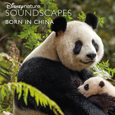 Waterfalls in the Valley of Pine Forests (From ”Disneynature Soundscapes: Born in China”)/ディズニーネイチャー サウンドスケープ