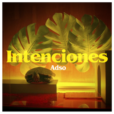 シングル/Intenciones/ADSO