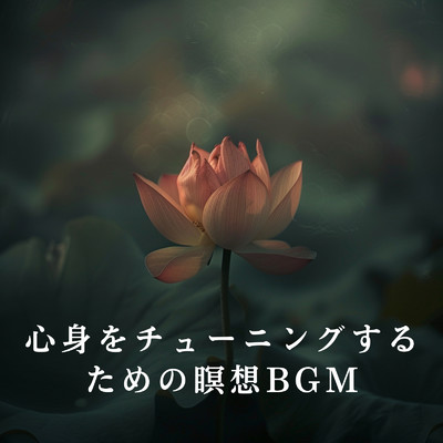 Streaming Calm Reflections/Relaxing BGM Project