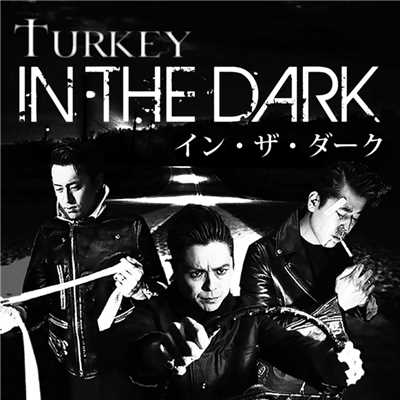 アルバム/In The Dark/TURKEY