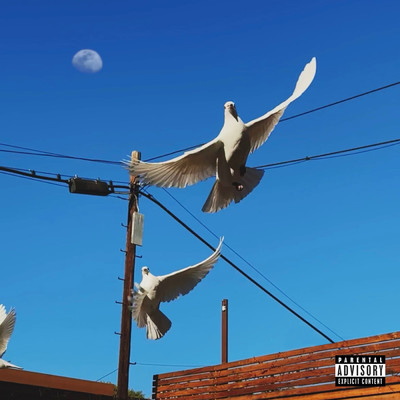 シングル/your name forever (Explicit)/mgk