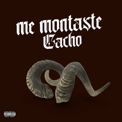 シングル/Me montaste cacho/Bokaetripa