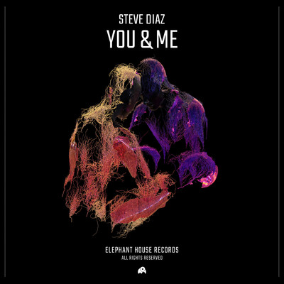 シングル/You & Me/Steve Diaz