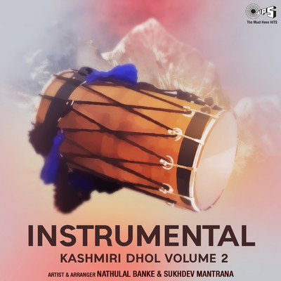 Instrumental Kashmiri Dhol, Vol. 2/Nathulal Banke and Sukhdev Mantrana