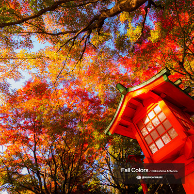 シングル/Fall Colors/Nakashima Antenna