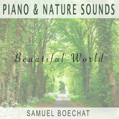 Piano and Nature Sounds (Beautiful World)/Samuel Boechat