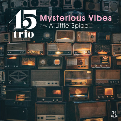 Mysterious Vibes ／ A Little Spice/45trio