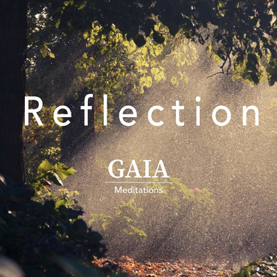 Reflection/Gaia Meditations