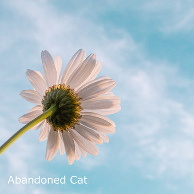 シングル/A Little Hope/Abandoned Cat