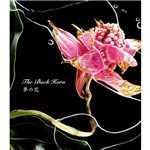 アルバム/夢の花/THE BACK HORN