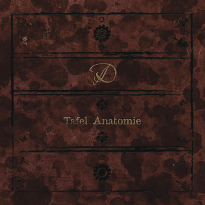 Tafel Anatomie/D