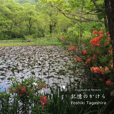 アルバム/記憶のかけら/Yoshiki Tagashira