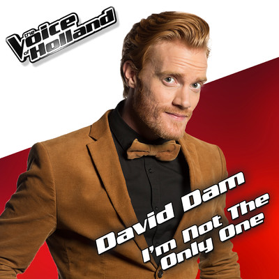 シングル/I'm Not The Only One (From The Voice Of Holland 5)/David Dam