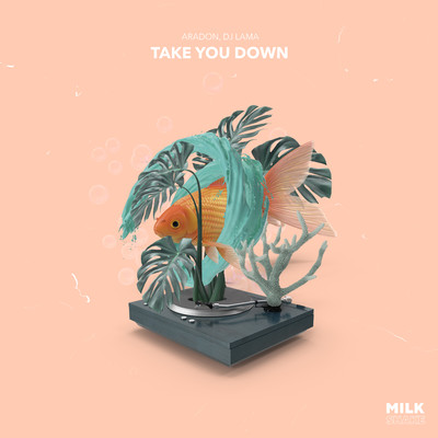 Take You Down/Aradon & DJ Lama