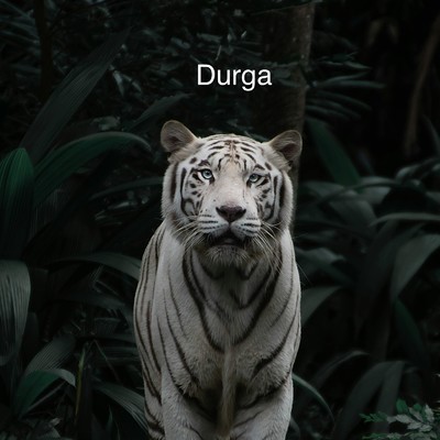 Durga/DJ Shinsuke ！