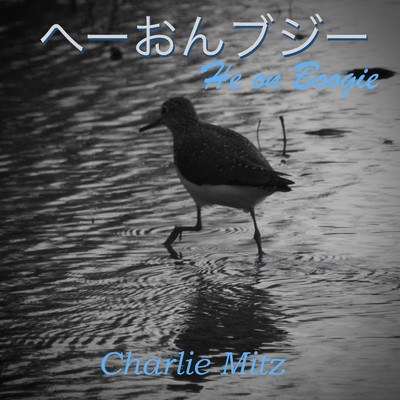 へーおんブジー/Charlie Mitz