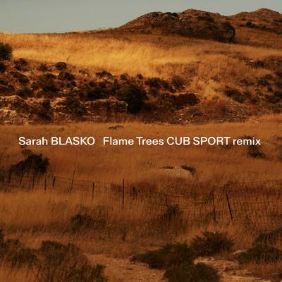 Flame Trees (Cub Sport Remix)/Sarah Blasko