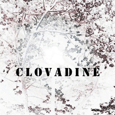 シングル/Farewell Foxglove (feat. Clovadine)/Vale