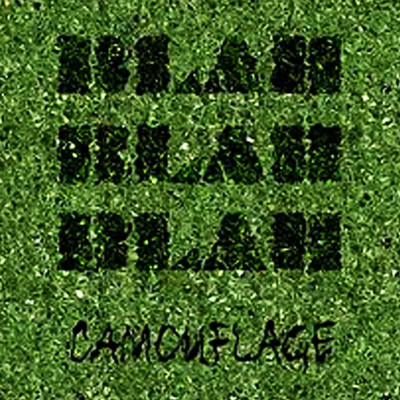 アルバム/Camouflage/Blah Blah Blah