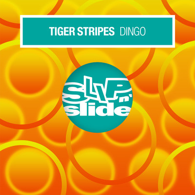 アルバム/Dingo/Tiger Stripes