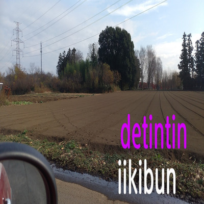 iikibun/detintin