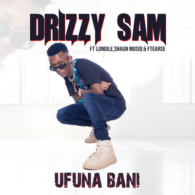 シングル/Ufuna Bani (feat. Lungile, ShaunMusiq, F Teearse)/Drizzy Sam (RSA)