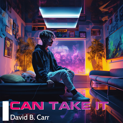 I Can Take It/David B. Carr