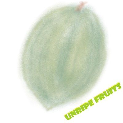 アルバム/unripe fruits/Harry Billie Bieber