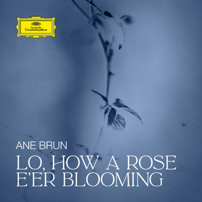 Lo, How a Rose E'er Blooming/アーネ・ブルン