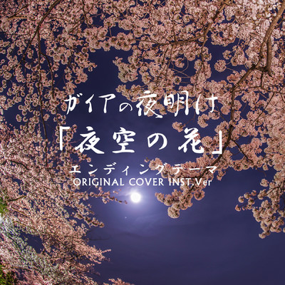 ガイアの夜明け 夜空の花 ORIGINAL COVER/NIYARI計画