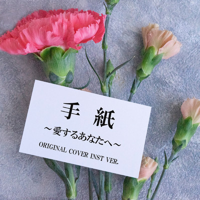 手紙〜愛するあなたへ〜 ORIGINAL COVER INST Ver./NIYARI計画