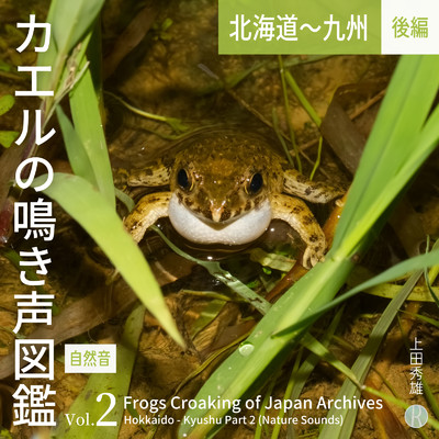 カエルの鳴き声図鑑 Vol.2 北海道〜九州 後編 [自然音]/上田秀雄
