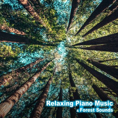 Relaxing Piano Music & Forest Sounds/Healing Energy