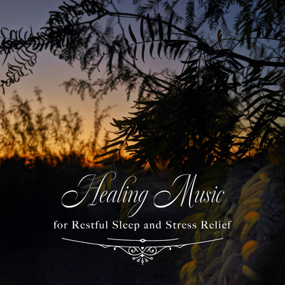 アルバム/快眠と癒しの音楽〜睡眠改善とストレス解消のために〜/Healing Energy