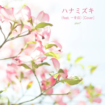 シングル/ハナミズキ (feat. 一青窈) [Cover]/plum*